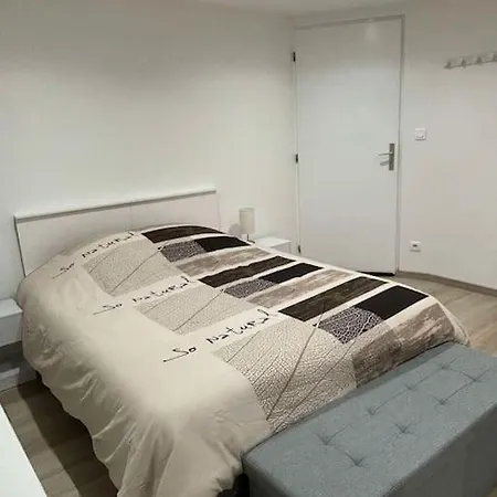 公寓 Independant De Plein Pied Pres De Colmar