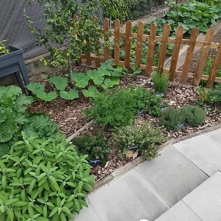 Independant De Plein Pied Pres De Colmar * Herrlisheim-près-Colmar